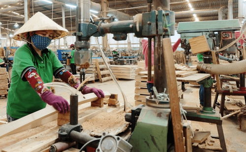 越南致力在国际市场打造 越南木材 品牌